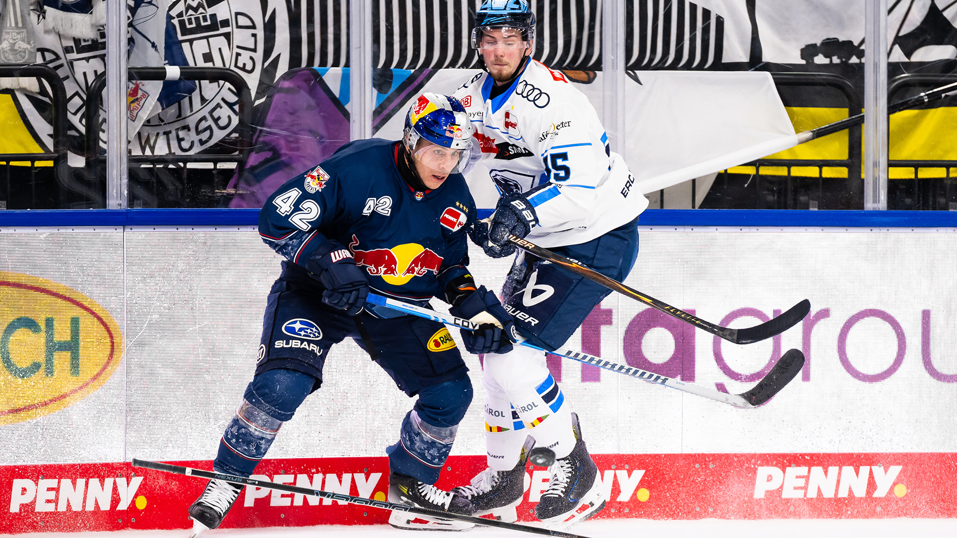 EHC Red Bull München gg. ERC Ingolstadt